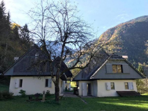 Cozy Cottage in the Heart of the Triglav National Park Soča